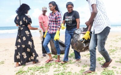 The Beach Cleaning Program of 2024