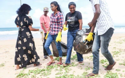 The Beach Cleaning Program of 2024