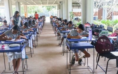 Year End Tests and Assessments-2024