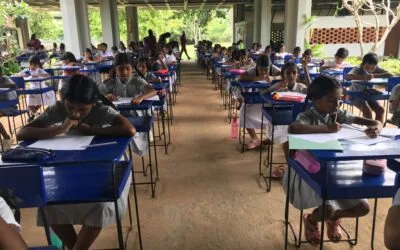 Mid Year Term Tests- 2025